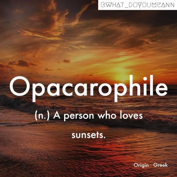 opacarophile